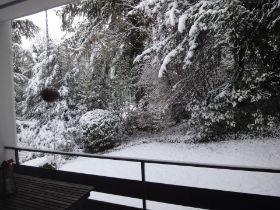 Schnee im Garten.jpg